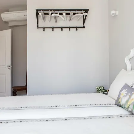 Alfama Sophisticate Flat With Balconies 2bedrs 2baths & Ac In 19th Century Building Historic Center Apartment *